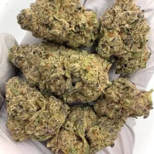 Bulk-packaging-of-Lemon-Cherry-Gelato-THCa-Flower-ready-for-wholesale-buyers