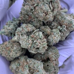 Purple Gumbo THCa Flower