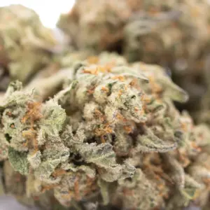 Astroboy THCa Hemp Flower wholesale indoor hemp flower Germany EU B2B