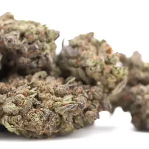 Banjerine THCA hemp flower wholesale batch from Germany with compliance documentation