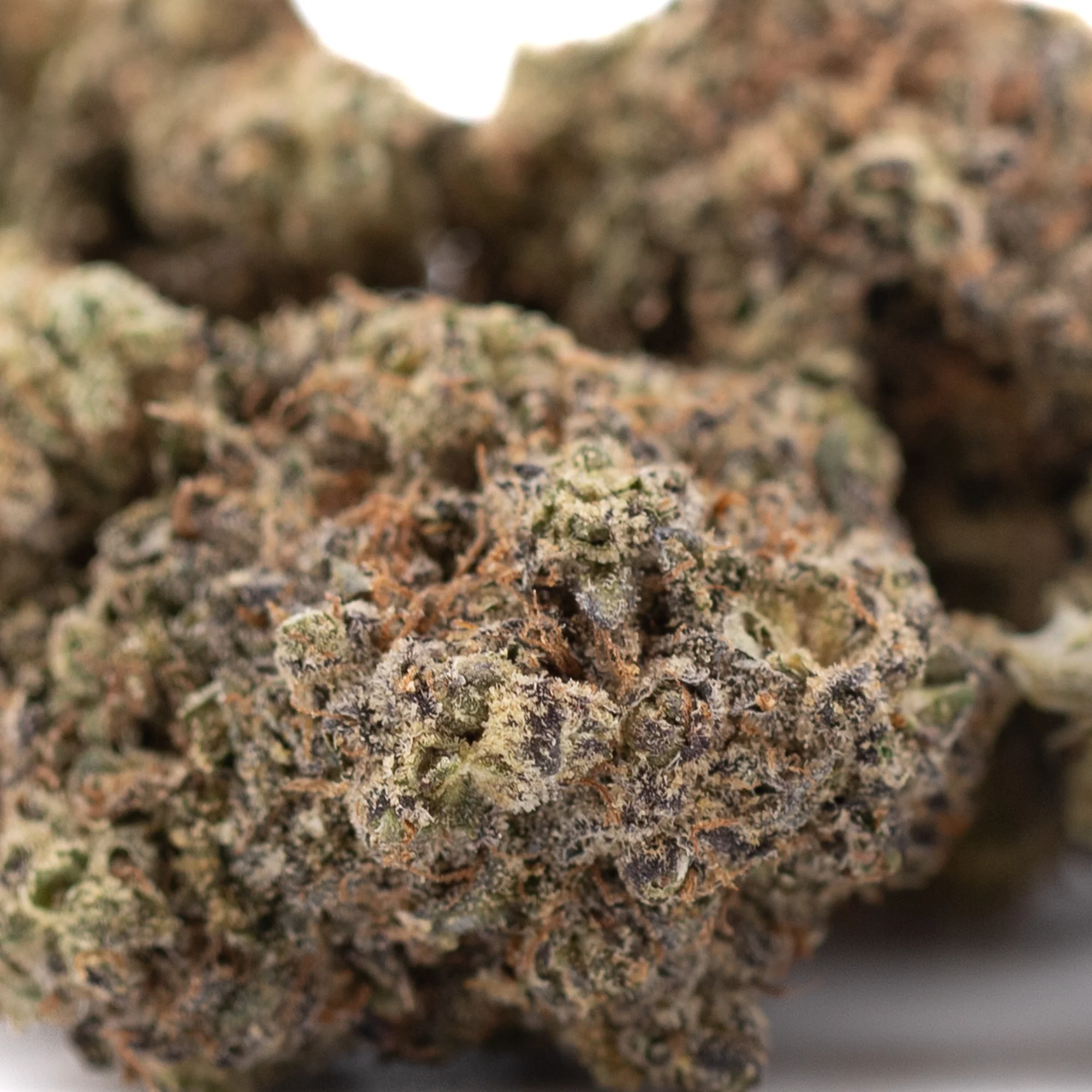 Black Amber Indoor THCa Flower wholesale indoor flower Germany EU B2B