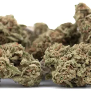 Blue Dream THCa Hemp Flower wholesale indoor flower Germany EU B2B