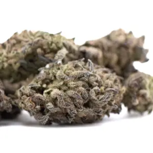 Blue Sugar THCA hemp flower wholesale batch from Germany with documented COA