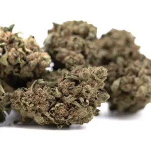 Canal Street Runtz THCA hemp flower wholesale batch from Germany with COA documentation