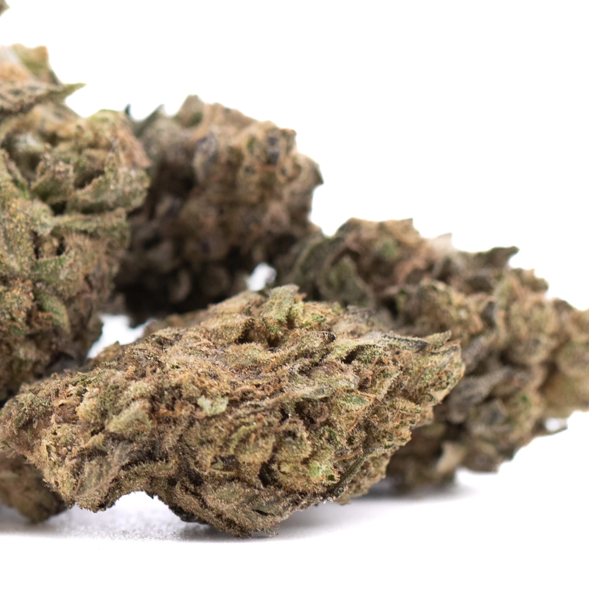 Cherry Truffle THCa Hemp Flower wholesale indoor hemp flower Germany EU B2B