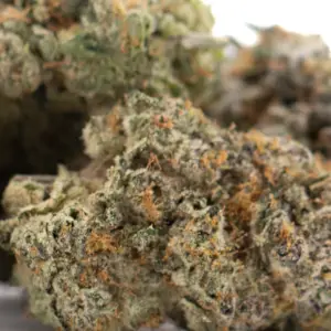 Chicken & Waffles Indoor THCa Hemp Flower wholesale indoor hemp flower Germany EU B2B