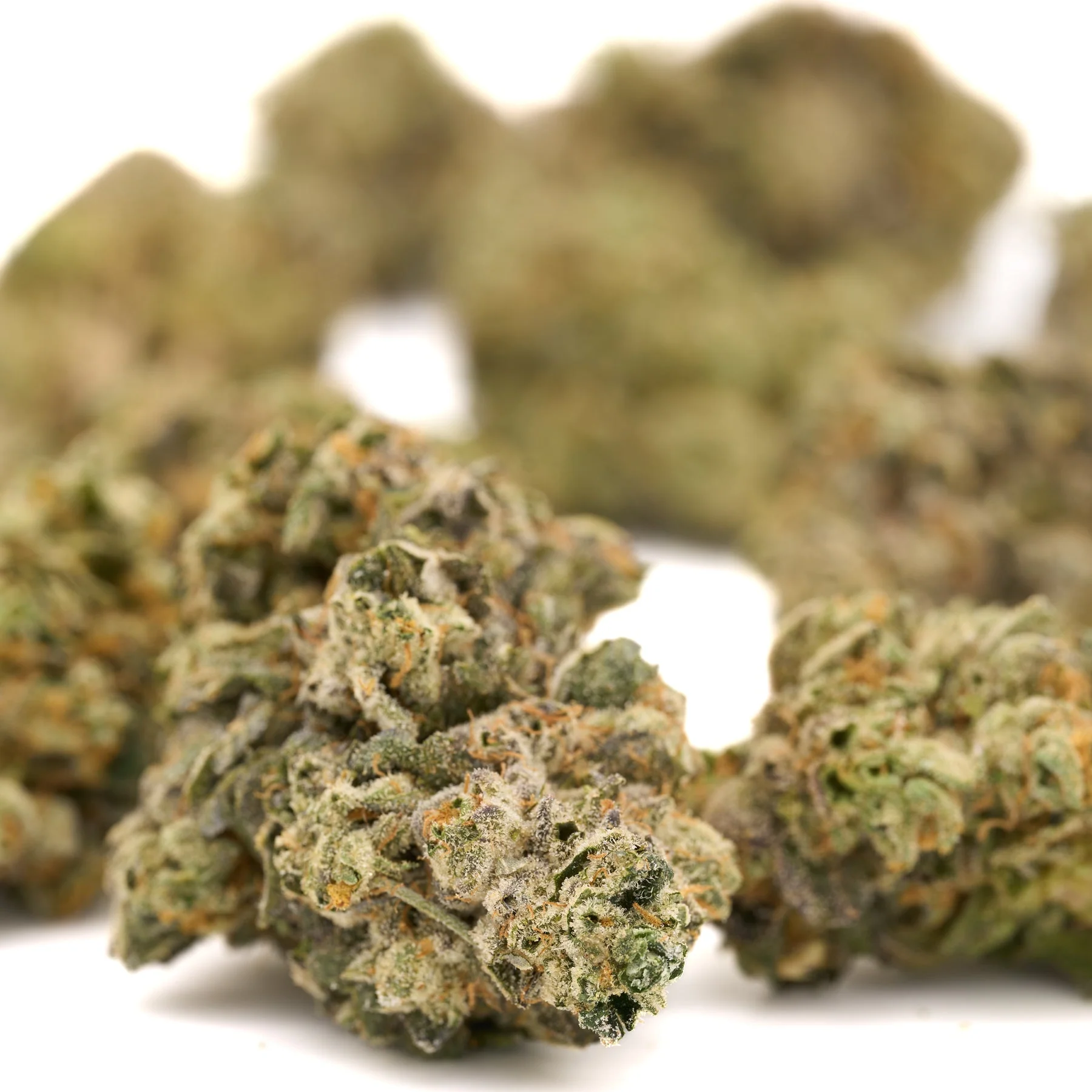 Dat Flavor Indoor THCa Flower wholesale hemp flower batch Germany EU B2B