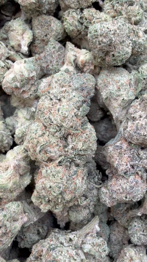 Donutz THCa flower wholesale indoor cultivation Germany EU B2B