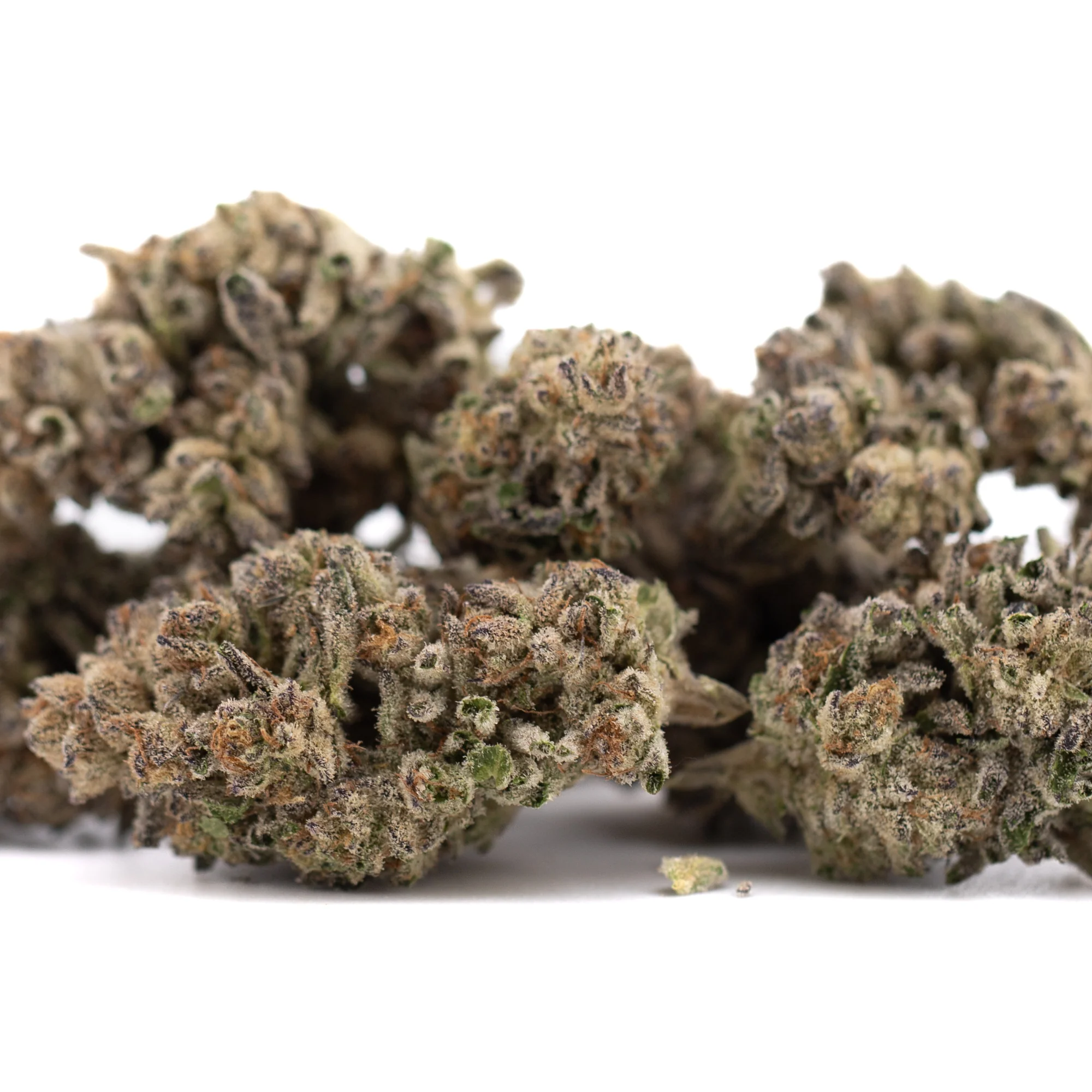 Hooch THCa hemp flower wholesale indoor cultivation Germany EU B2B