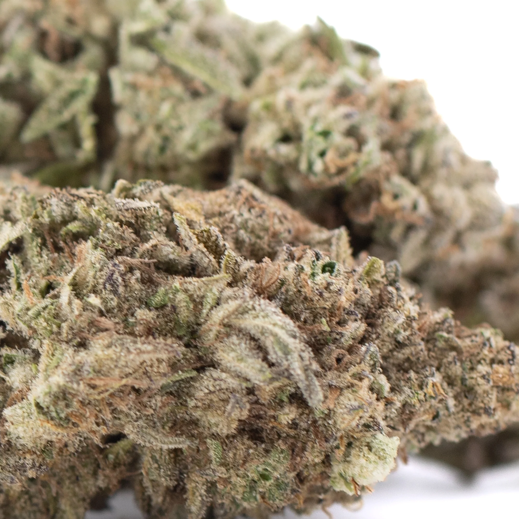 JOY THCa Hemp Flower wholesale indoor hemp flower Germany EU B2B