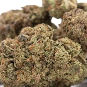 Jokerz NOS THCa hemp flower wholesale indoor cultivation Germany EU B2B