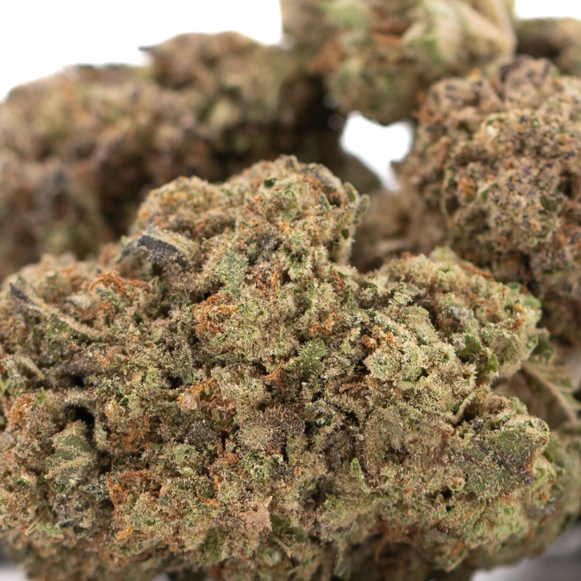 Jokerz NOS THCa hemp flower wholesale indoor cultivation Germany EU B2B