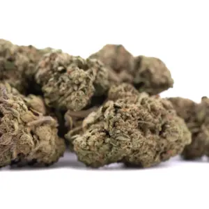 Lemon Cherry Gelato THCA hemp flower wholesale batch from Germany with compliance documentation