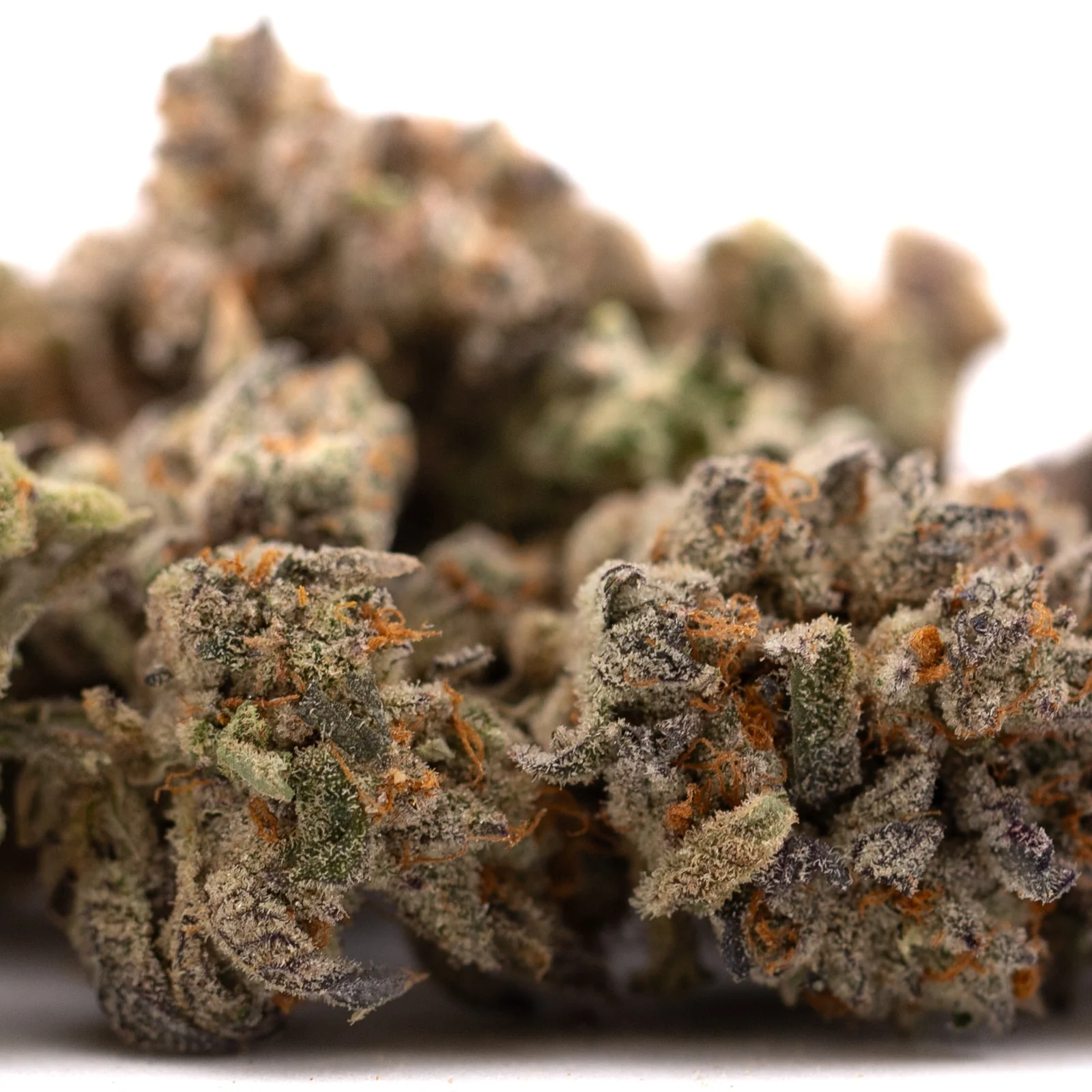 Money Ball Indoor THCa Flower wholesale hemp flower batch Germany EU B2B