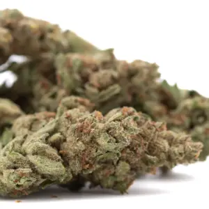 Moroccan Peach THCa Flower wholesale indoor flower Germany EU B2B