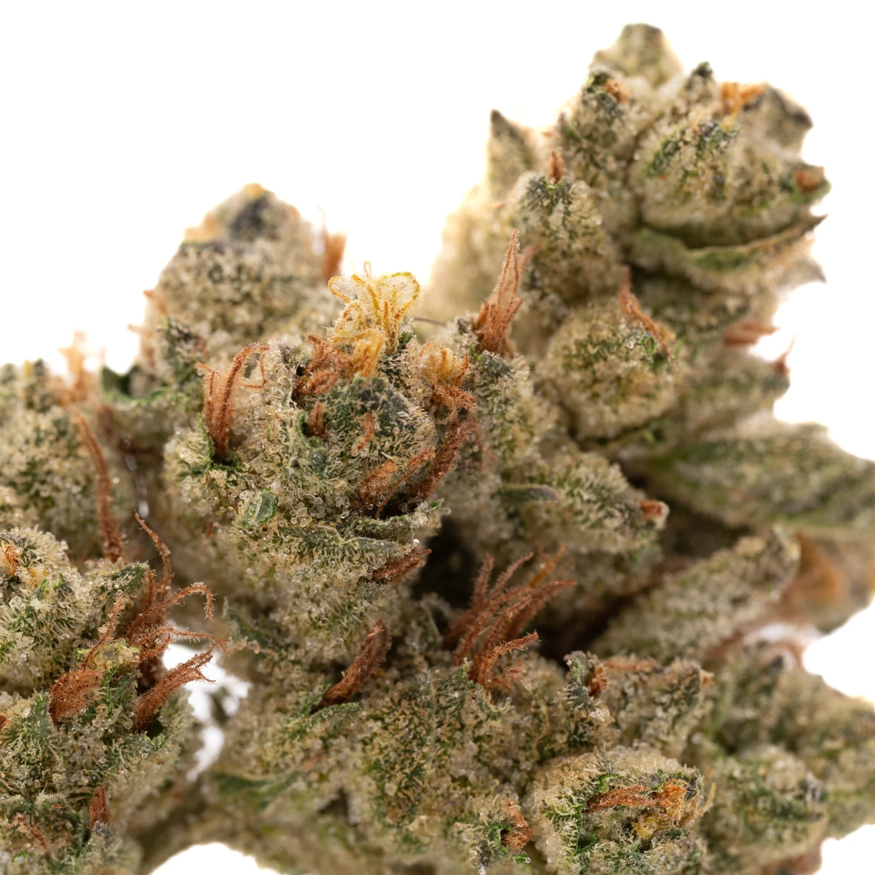 Nascar Indoor THCa Flower wholesale hemp flower batch Germany EU B2B