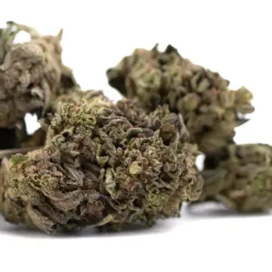 Orange Runtz THCA hemp flower wholesale batch from Germany with compliance documentation