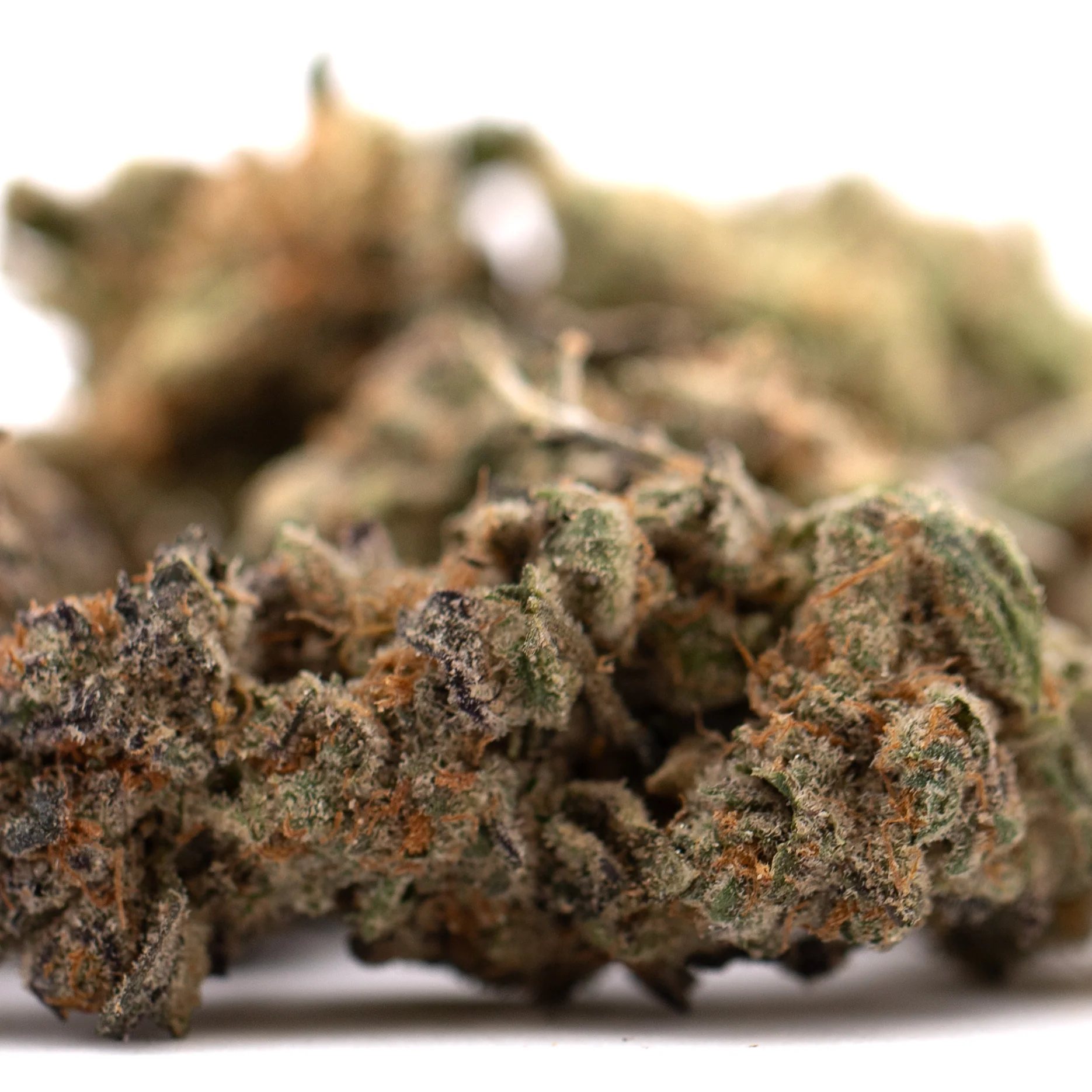 PEZ Indoor THCa Flower wholesale hemp flower batch Germany EU B2B