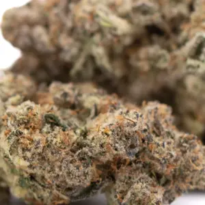 Peach Rainbow Indoor THCa Flower wholesale indoor flower Germany EU B2B