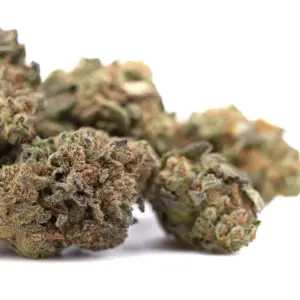 Poison Gushers THCA hemp flower wholesale batch from Germany with compliance documentation