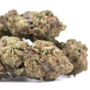 Poppin' Bottlez THCa hemp flower wholesale indoor cultivation Germany EU B2B