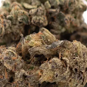 Space Candy Indoor THCa Hemp Flower wholesale indoor hemp flower Germany EU B2B