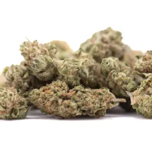 Sugar THCa flower wholesale indoor cultivation Germany EU B2B