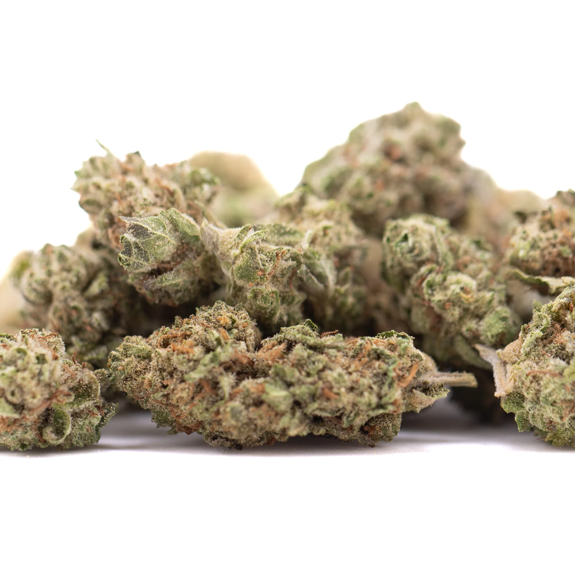 Sugar THCa flower wholesale indoor cultivation Germany EU B2B