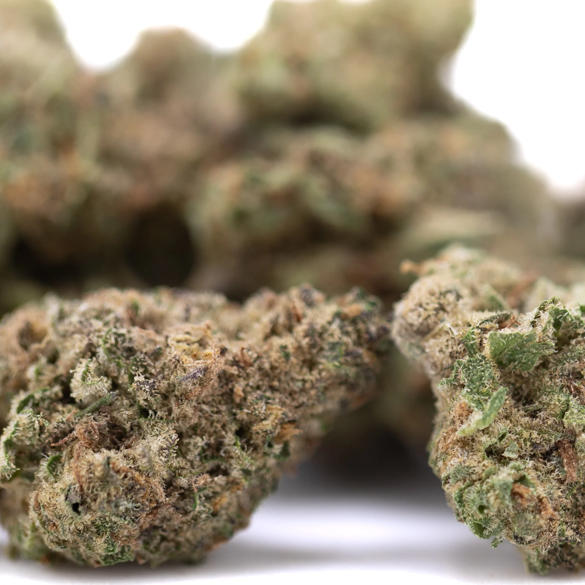 Zonkers THCa flower wholesale indoor cultivation Germany EU B2B