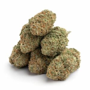 Blueberry Cookies THCa Flower